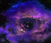 Cosmos